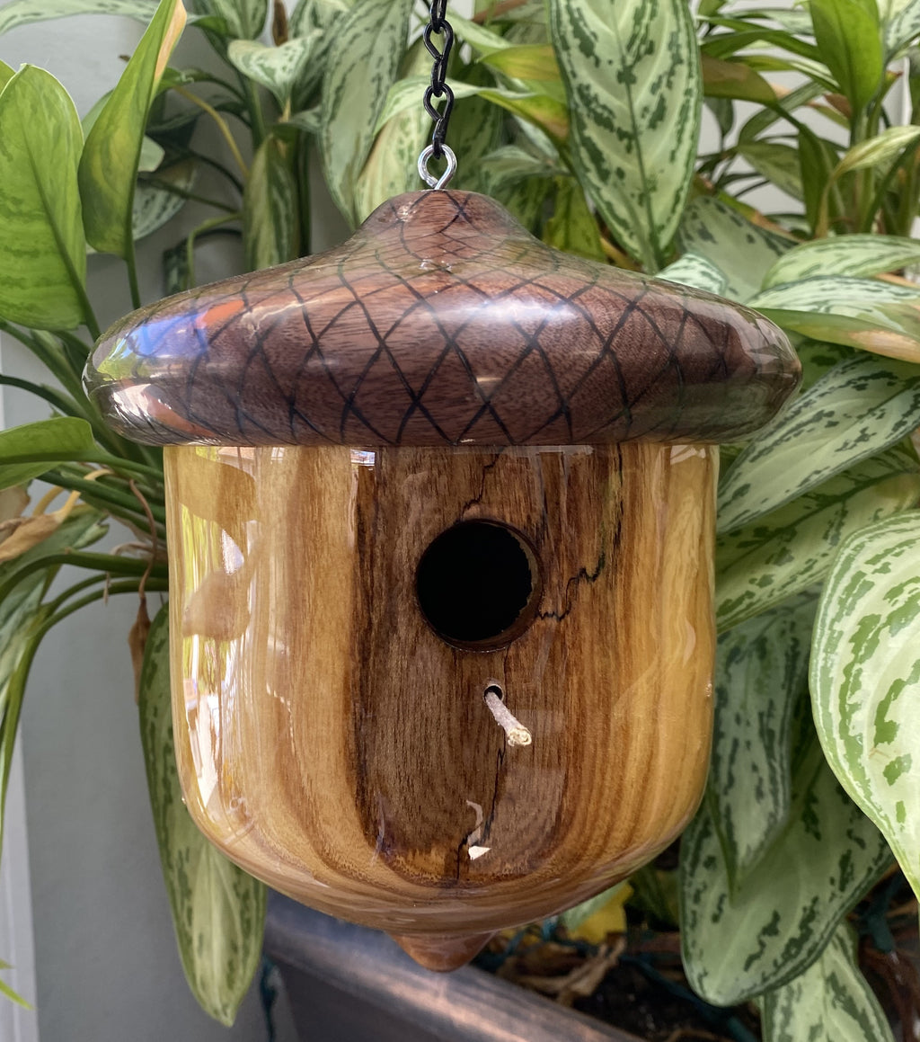 Handmade Acorn Birdhouse – Ash & Walnut with Hand-Burned Design
