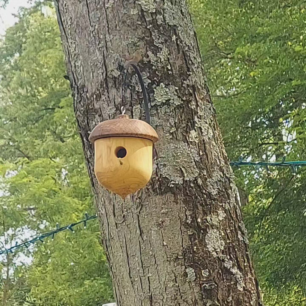 Handmade Acorn Birdhouse – Ash & Walnut with Hand-Burned Design